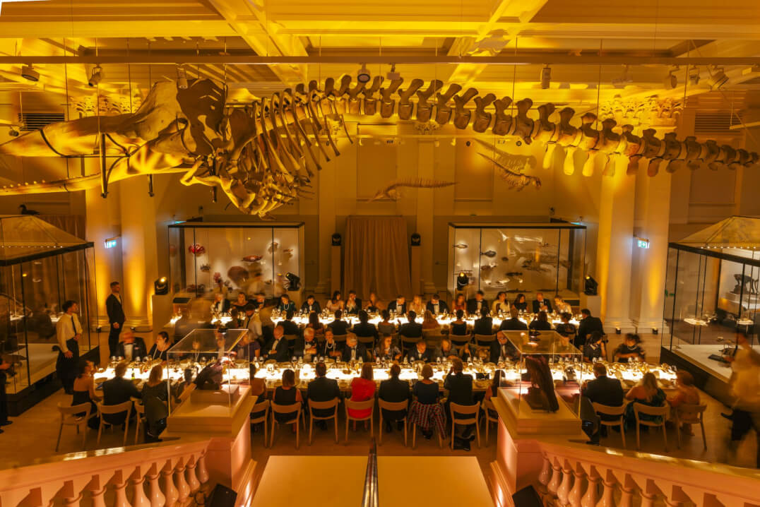 Eat The Elephant Technical production for live, virtual & hybrid experiences